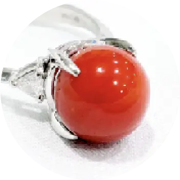 珊瑚（サンゴ）